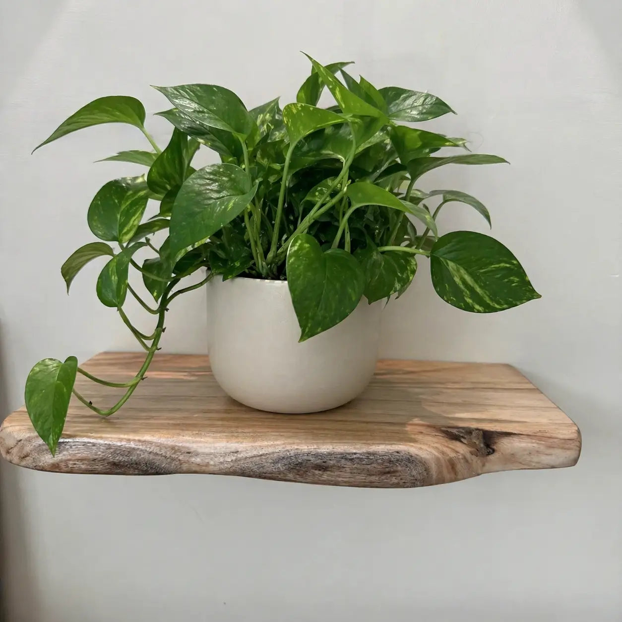 Solid Wood Live Edge Floating Shelf