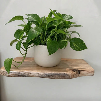 Solid Wood Live Edge Floating Shelf