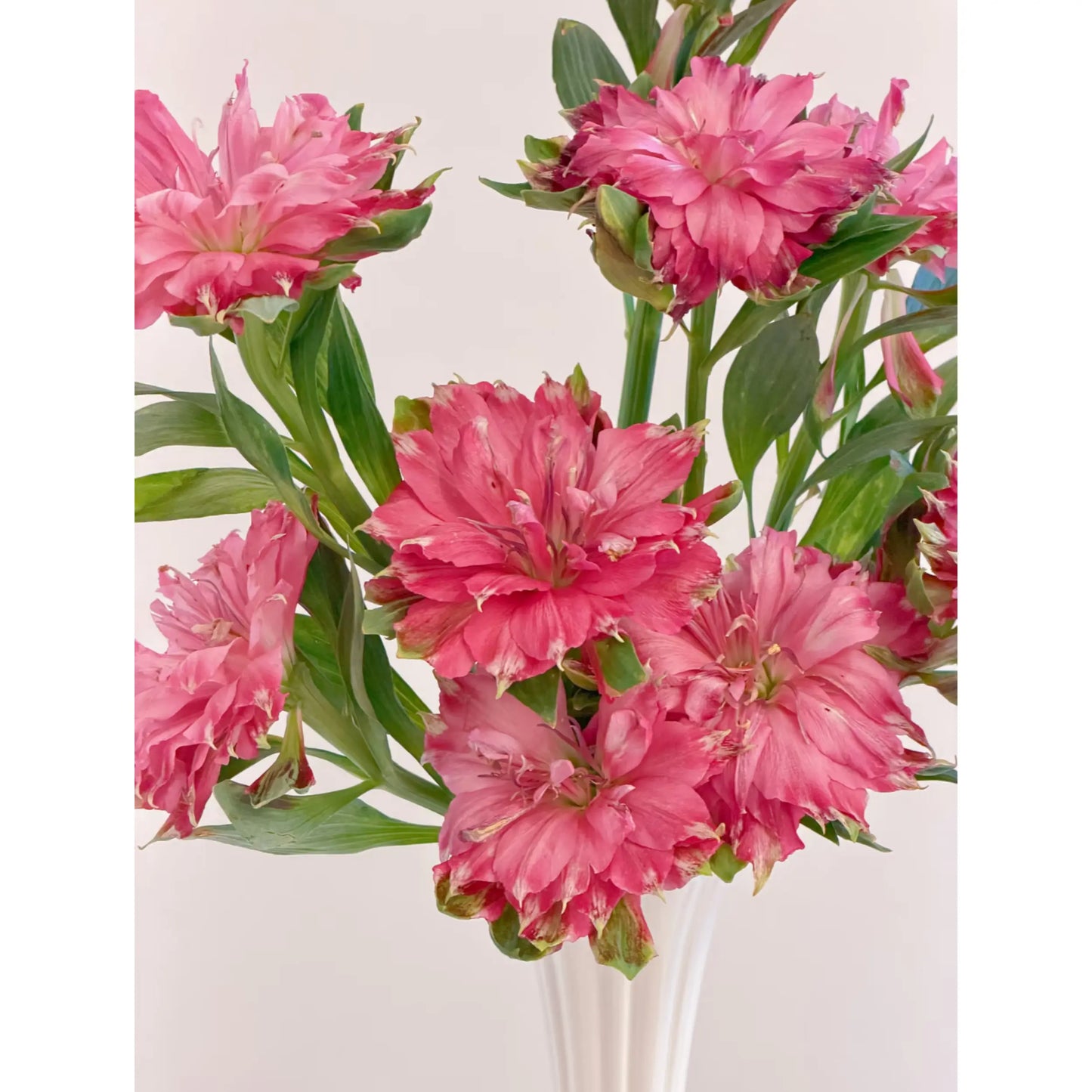 Ivory Fluted Ceramic Vase – Slim Vintage-Inspired Flower Vase