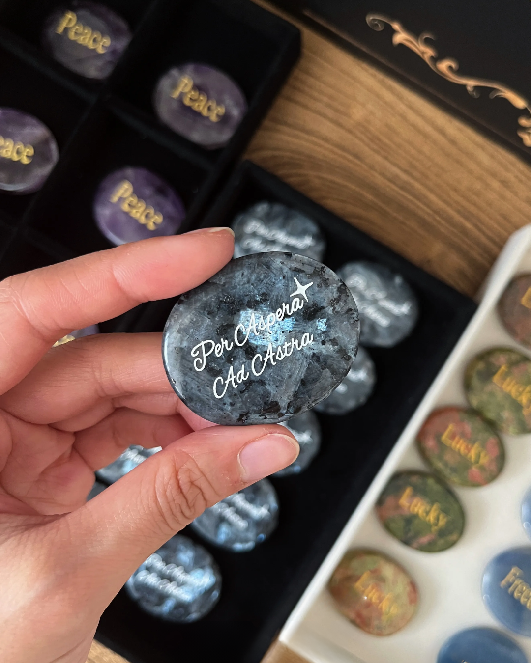 Black Sunstone Palm Stone - “Per Aspera ad Astra”